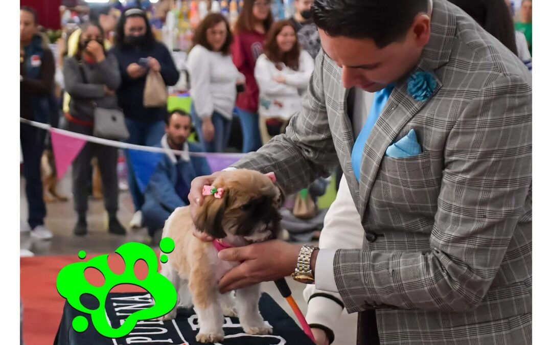 DOGFEST 2024 LLEGA AL CENTRO DE CONVENCIONES DE SAN LUIS POTOSÍ