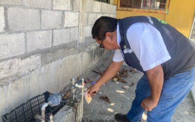 IMPLEMENTAN OPERATIVO DE VIGILANCIA SANITARIA EN LA FENAHUAP 2024