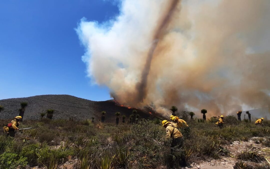 BRIGADISTAS FORESTALES TRABAJAN DÍA Y NOCHE EN INCENDIO EN MATEHUALA